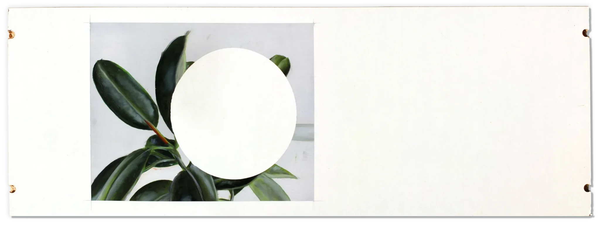 Malerei-Pflanze-27x77, Alexander Kowatschitsch